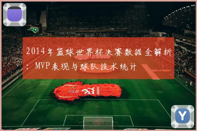2014年篮球世界杯决赛数据全解析：MVP表现与球队技术统计