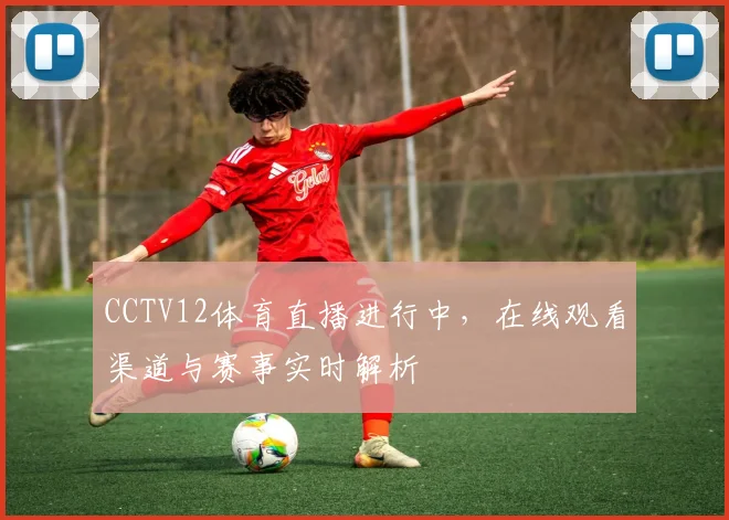 CCTV12体育直播进行中，在线观看渠道与赛事实时解析