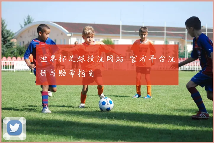 世界杯足球投注网站 官方平台注册与赔率指南