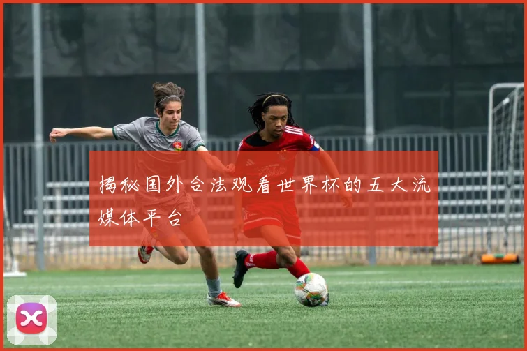 揭秘国外合法观看世界杯的五大流媒体平台