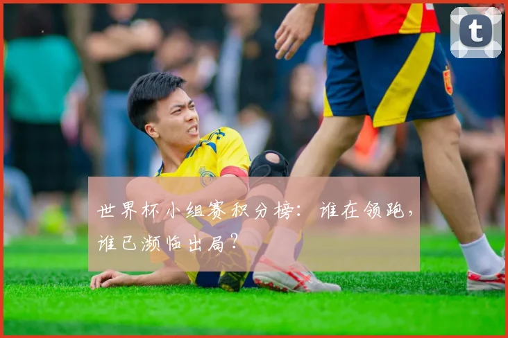 世界杯小组赛积分榜：谁在领跑，谁已濒临出局？