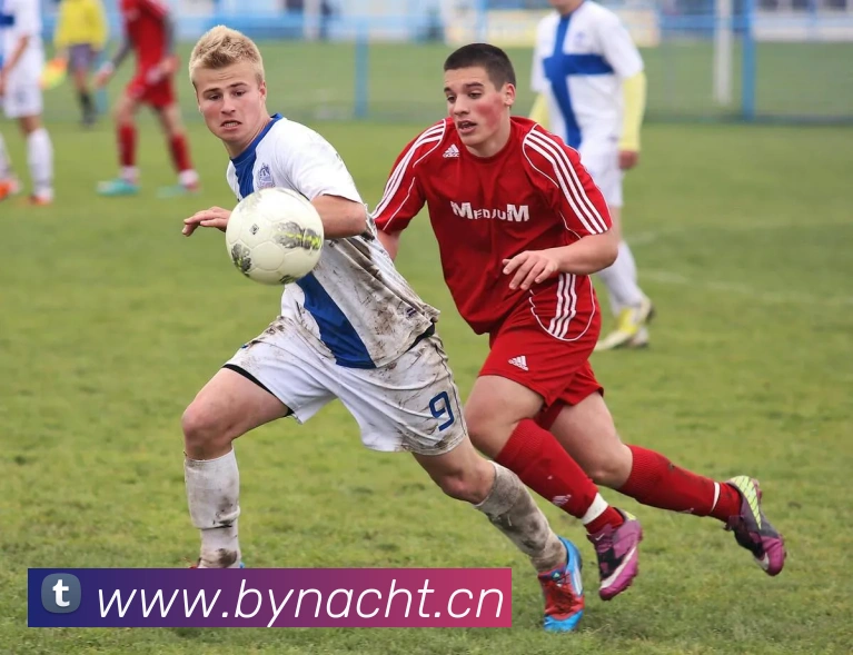 ayx登录入口发展历程